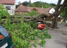 Kwikfynd Tree Cutting Services
woondul
