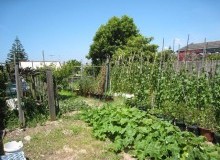 Kwikfynd Vegetable Gardens
woondul